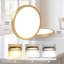 Flush Mount-613540398