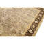 Oriental Area Rug in Brown