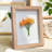 5X7 Shadow Box Frame Small Shadow Box Display Case 4 Pack Natural Wood Picture Frame Glass Surface Internal Depth 0.6 Inch For Wall Or Tabletop