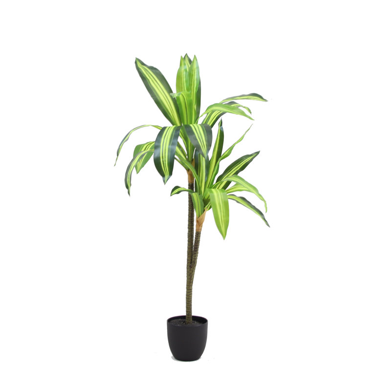 Arbre Dracaena en soie 40 po