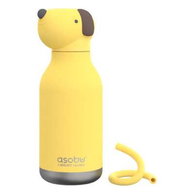 Asobu 475ml Double Wall Insulated Stainless Steel Water Bottle