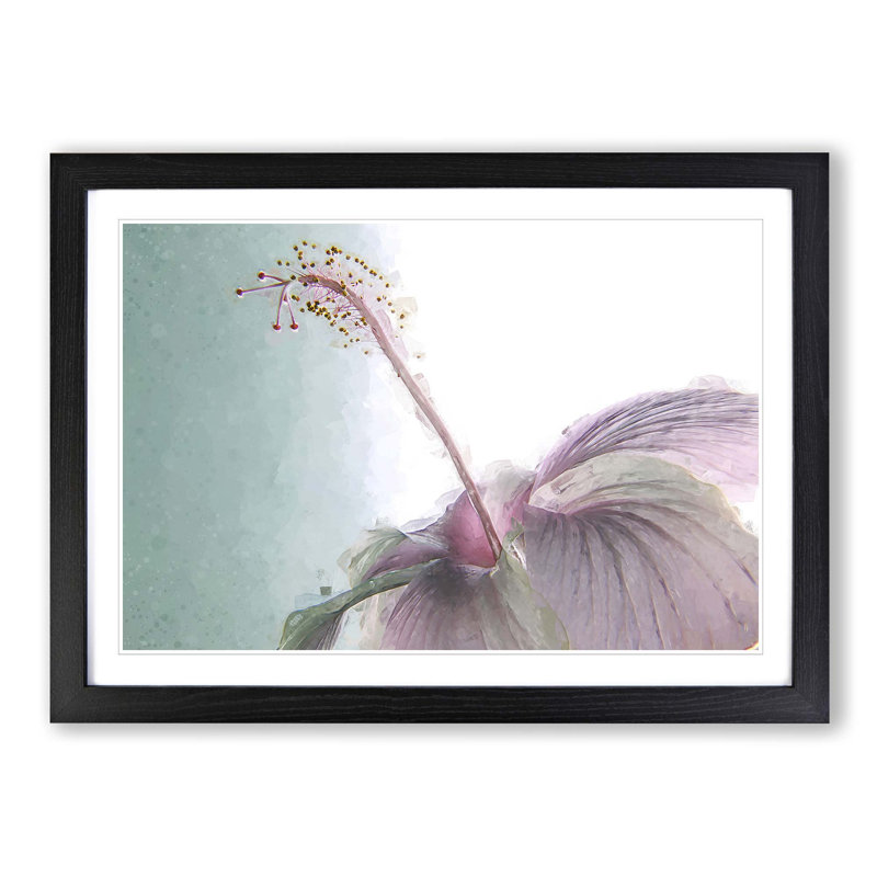 Pink Hibiscus Flower in Abstract - Picture Frame Graphic Art Print, 60cm H x 91cm W x 2cm D, Black