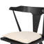 Ripley Dining Chair with Cushion-1673080597-1671139960