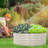 Pannu Metal D-Shaped Raised Garden Bed