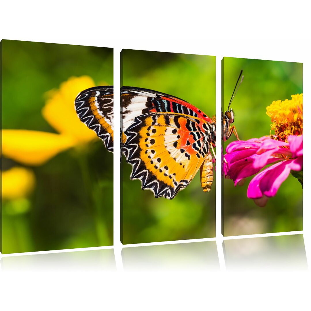 3-tlg. Leinwandbilder-Set „Schmetterling auf Blüte“, Fotodruck