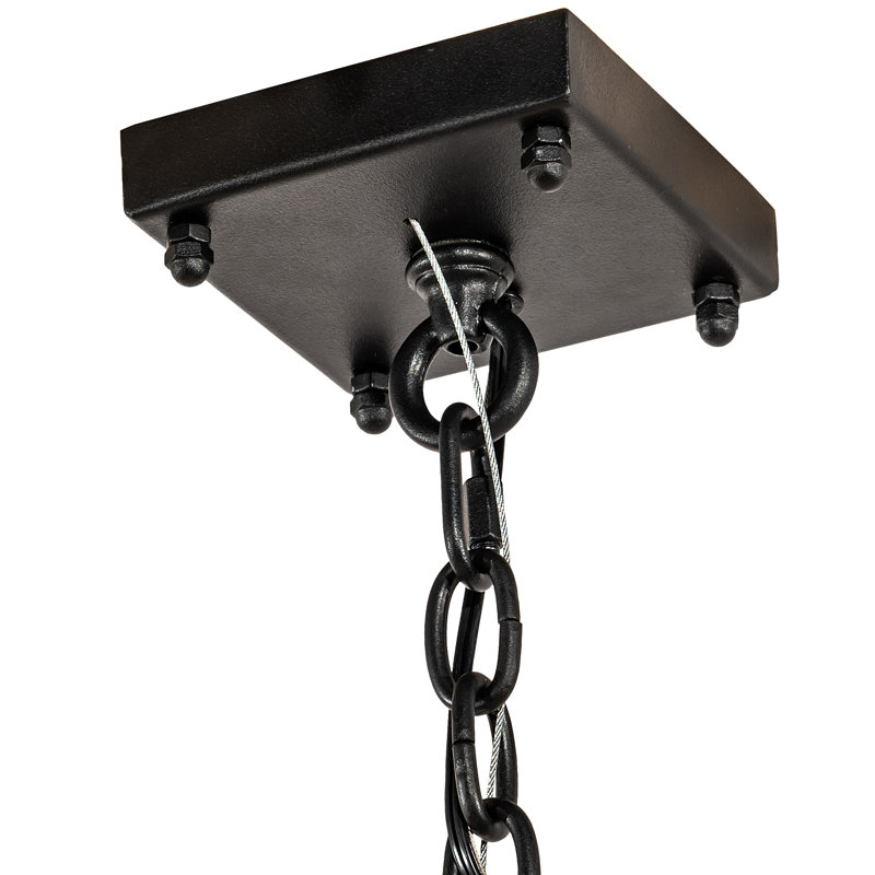 Kitzi Black and Clear Glass 8-Light Indoor/Outdoor Chandelier
