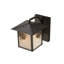 Rustic Lodge 1 - Light Armed Sconce