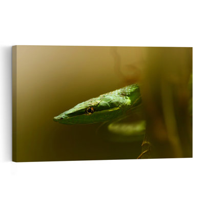 Watchful Green Snake Abstract Contemporary Snake Forest Nature Wall Art Print 1 Piece Wrapped Canvas Wall Art