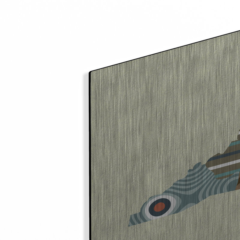 Wrought Studio ™ «North Carolina State Map» par Lanre Adefioye, mur en métal, H 24 po x l 36 po