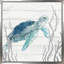 «Aqua Turtle I» par Carol Robinson - Peinture-492393604-492393603