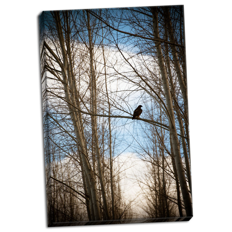 « hawk silhouette », reproduction de photo sur toile tendue