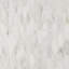 Alaska White Penny Round Polished Marble Tile