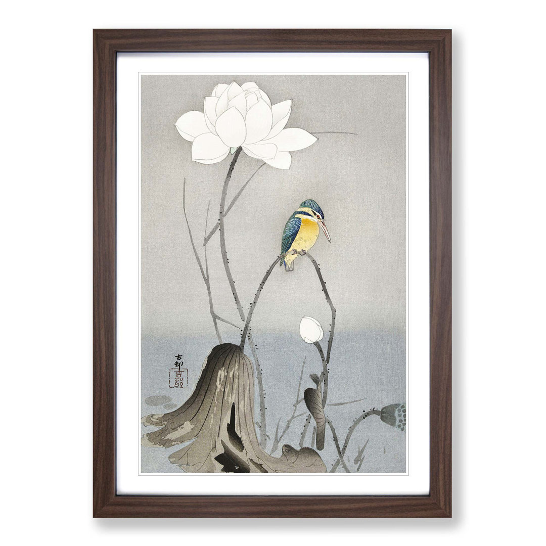 Kingfisher with Lotus Flower by Ohara Koson - Framed Print