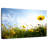 Harnek Yellow Summer Flowers-108732212