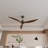 Demica 65'' Ceiling Fan