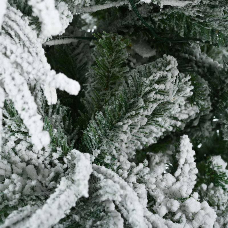 Arbres de noël