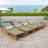 Denzer 78.75'' Long Reclining Acacia Single Chaise-115820805