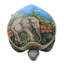 Boîte de présentation Tortue et éléphant