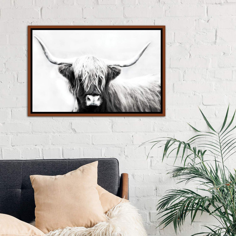 «Highland Longhorn», reproduction de photo encadrée, H 26 po x l 40 po x 1,5 po, Cadre bois classique