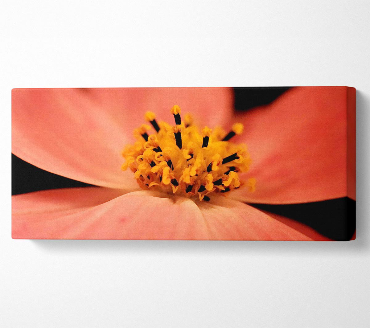 Ebern Designs Orange Petal Beauty - Wrapped Canvas Art Prints | Wayfair ...