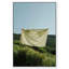 Floating Cotton I Print by Oliver Gal-350277349-454429966