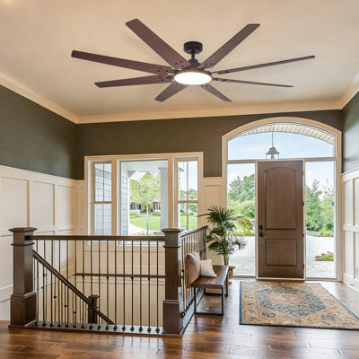 Ceiling Fan