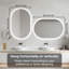 Oval Mirror