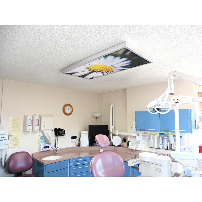 Couvre-lampes fluorescents pour salle de classe Flower - pour luminaire 2 x 4 - par Octo Lights