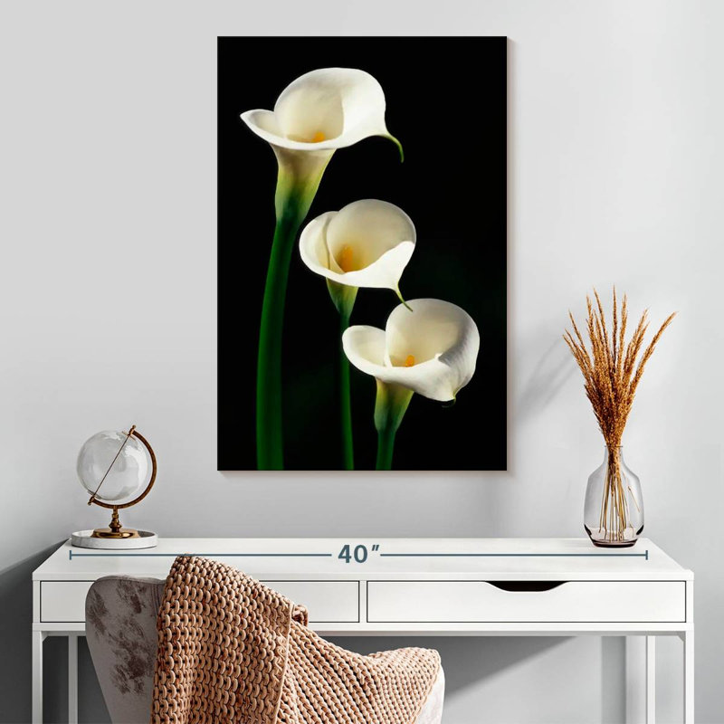 Harnek Three White Calla Lilies, 30" H x 20" W