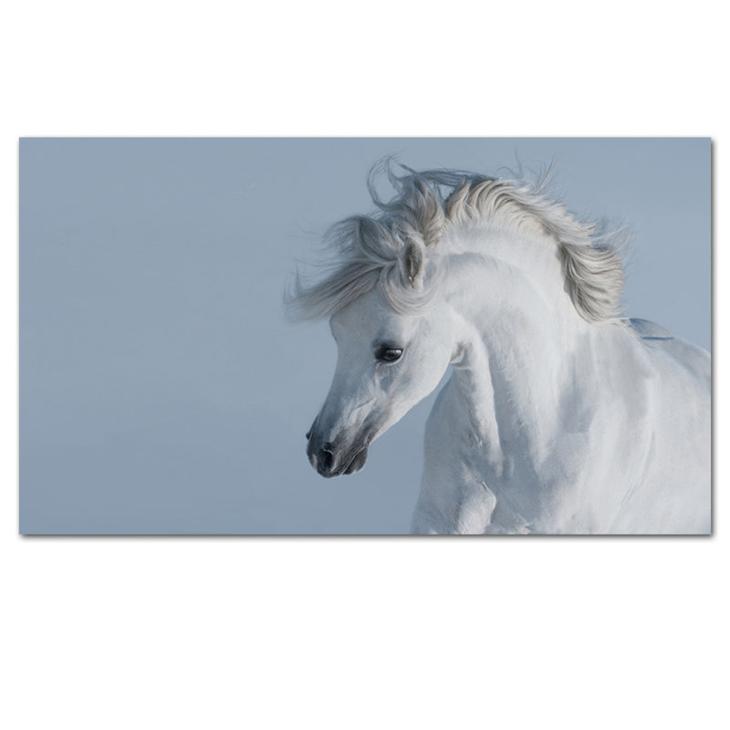 Stallion Print, Acrylic, 36" H x 86" W x 2.5" D