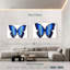 Papillon bleu cosmique Brampt-108007558