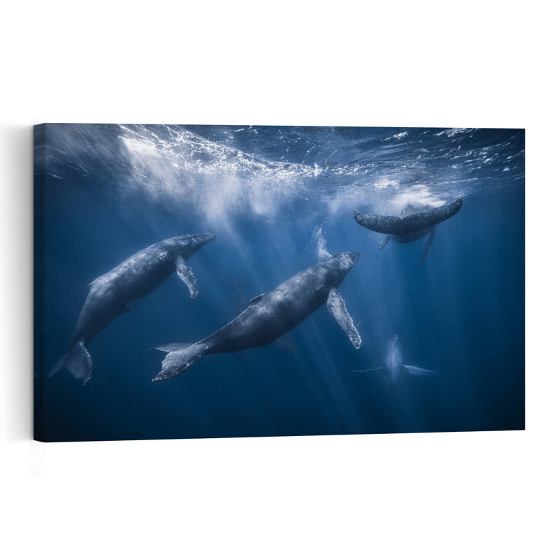 Sunlit Ocean Whales Peaceful Serene Tranquil Whale Nature Ocean Wall Art Print 1 Piece Wrapped Canvas Wall Art