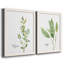 Fresh Sprig Thym - ensemble de 2 reproductions d'art-1542045464-1542045465-1542045466