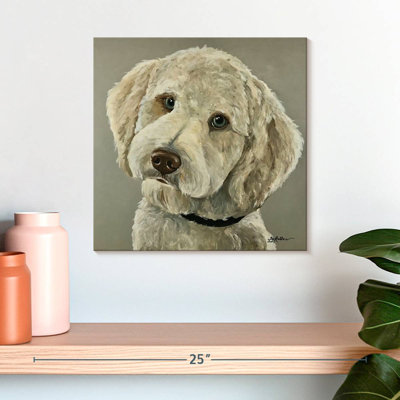 Goldendoodle sur fond gris