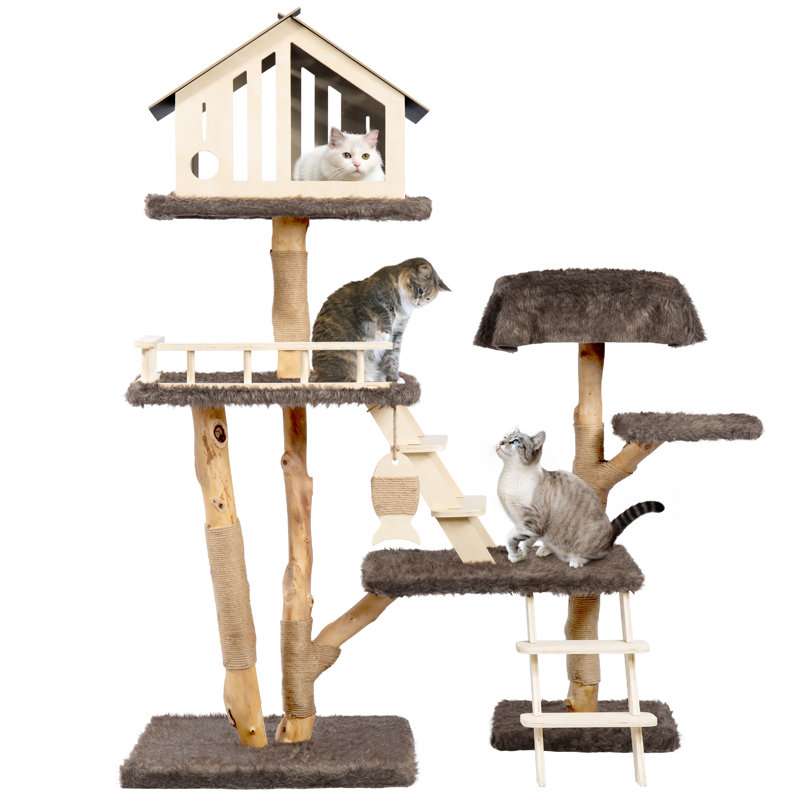 Maison de chat pour chats d'intérieur