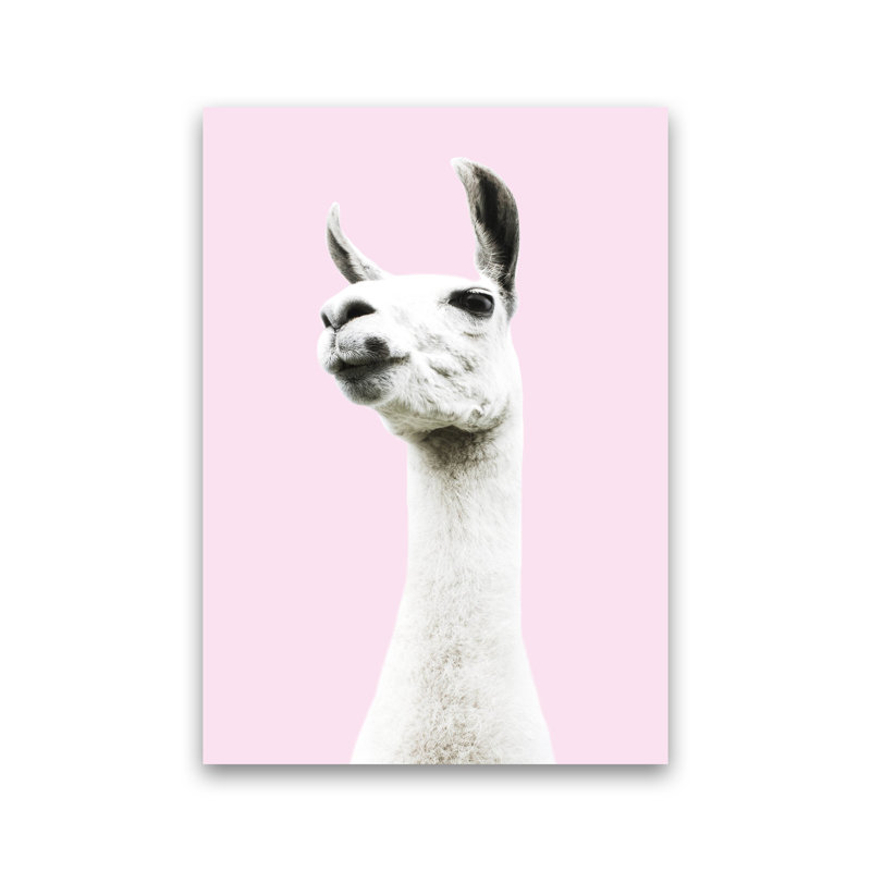Pink Llama by Victoria Frost - Print, Unframed, 30cm H x 21cm W x 1cm D