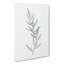 Asparagus Flowers by Pierre-Joseph Redoute - Wrapped Canvas Painting-55367662