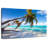 Gillard Anguilla Island Palm Trees-107710118