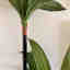 Photos des clients 3 de 3