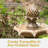 Kirt Resin Pineapple Traditional 2-Tier Solar Fountain with Battery Backup - Earth-50487458