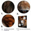 Animal Lion Portrait II - Lion, art mural-682763244-682763247