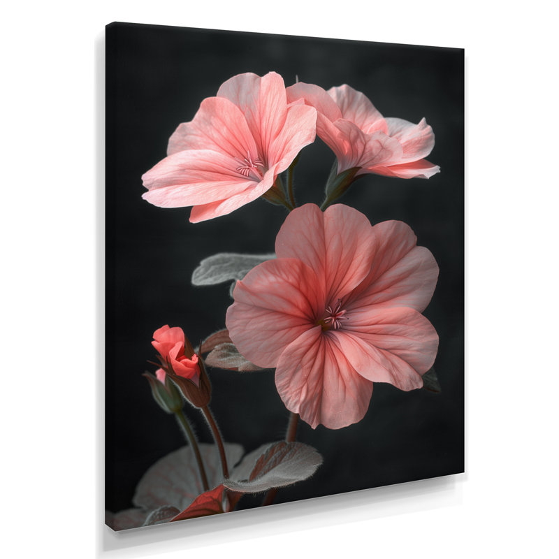 Romantiques photos de géraniums noirs et roses - salon d'art mural géraniums, Toile tendue, H 16 po x l 32 po