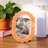 Oval  Scallop Edge Ceramic Frame-105237871-105237872