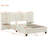 Contemporary Queen Size Upholstered Platform Bed Velvet Upholstery Warm Beige Bedroom Furniture With Oversized Headboard