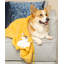  Couverture en peluche Corgi-1464083165