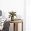 10 plantes