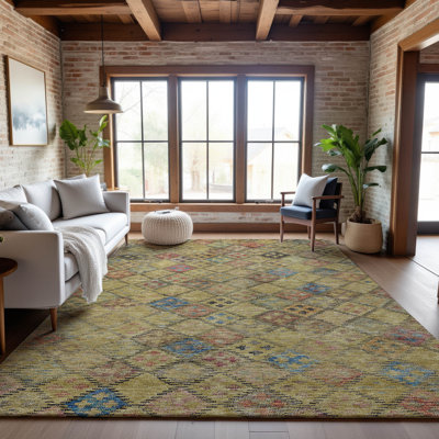 Premium Machine Washable Janicki AMF1081 Geometric Rug