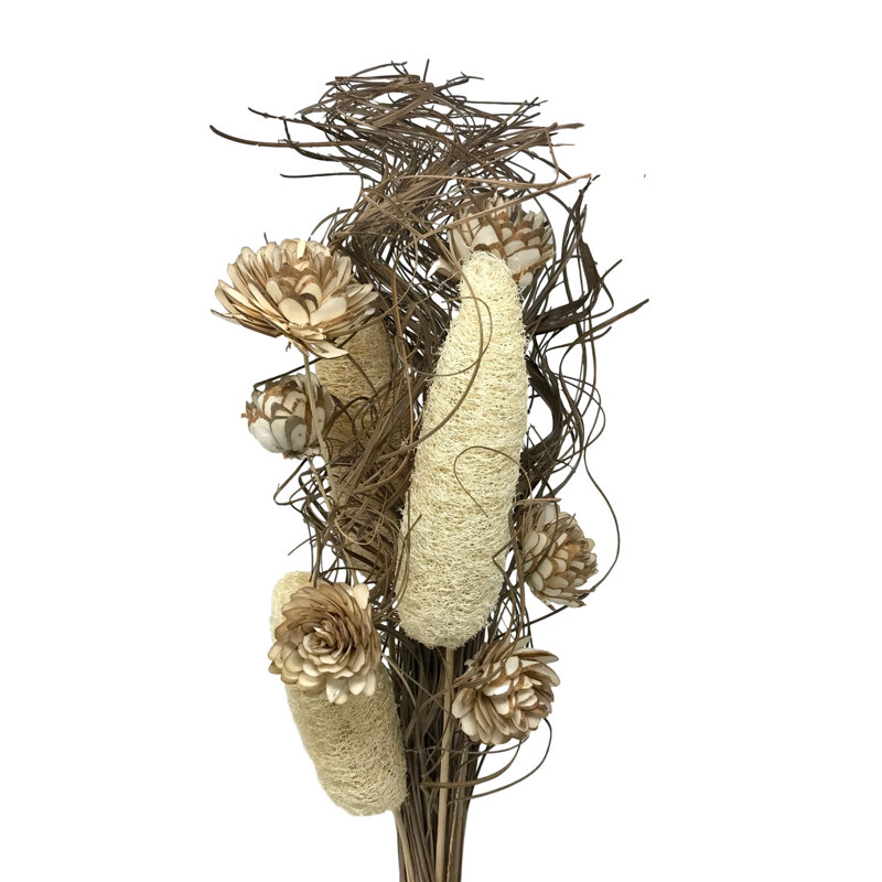 Branche de Luffa et tige d'amande, Naturel / crème