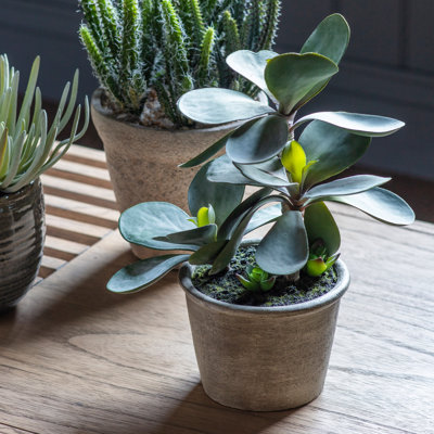 15cm Faux Kalanchoe Pale Succulent in Pot