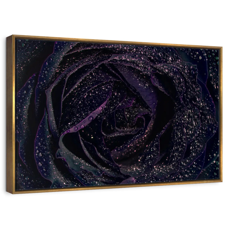 Rose noire scintillante, 46 po x 31 po, Cadre flottant doré